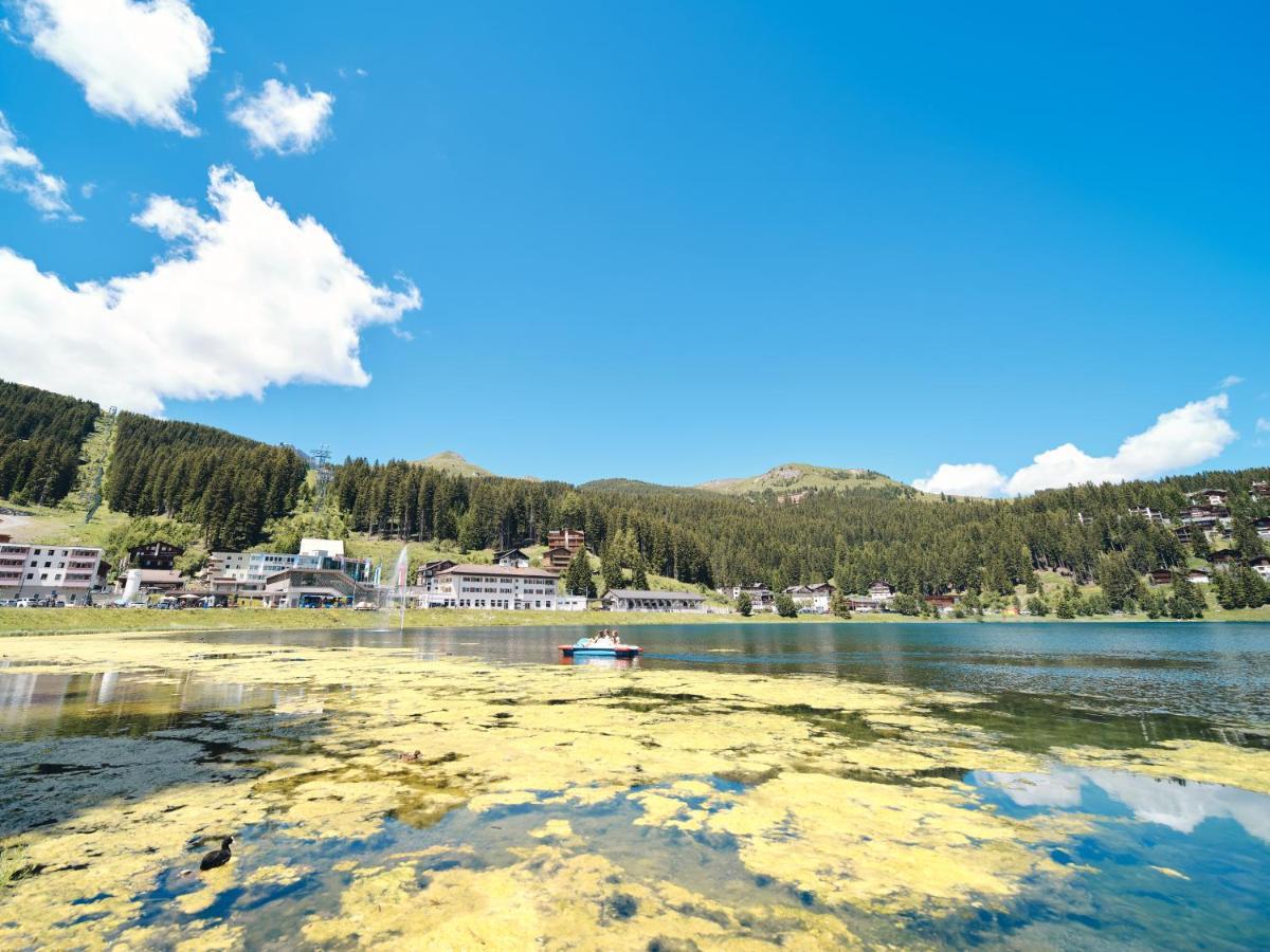 Haus Padrun 10 By Arosa Vacations Daire Dış mekan fotoğraf
